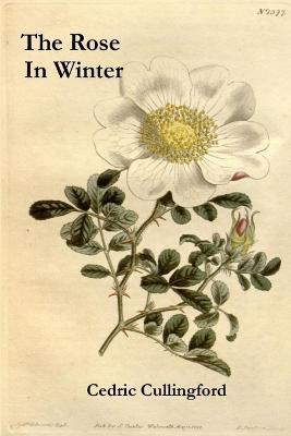 The Rose in Winter - Cedric Cullingford - cover