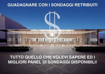 Guadagnare con i sondaggi retribuiti - Pasqualino Bertani - ebook