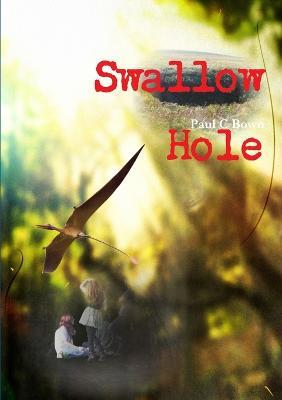 Swallow Hole - Paul C Bown - cover