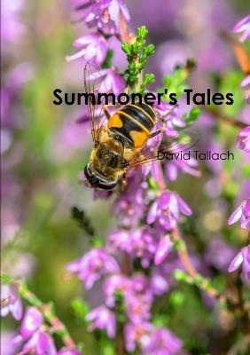Summoner's Tales - David Tallach - cover