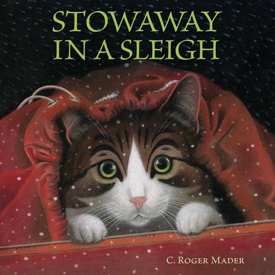 Stowaway in a Sleigh - Roger Mader - ebook