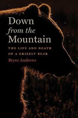 Down from the Mountain: The Life and Death of a Grizzly Bear - Bryce Andrews - cover
