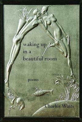 Waking Up in a Beautiful Room - Charles Watts - cover