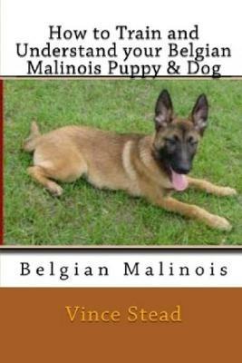 How to Train and Understand Your Belgian Malinois Puppy & Dog - Vince Stead - cover