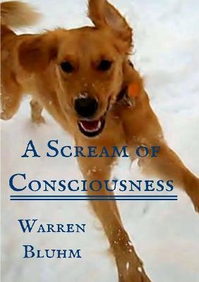 A Scream of Consciousness - Warren Bluhm - cover