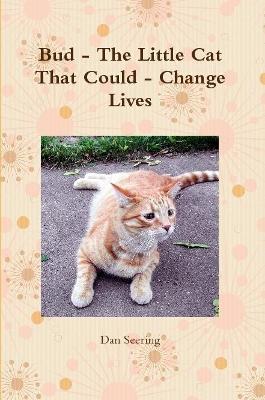Bud - the Little Cat That Could - Change Lives - Dan Seering - cover