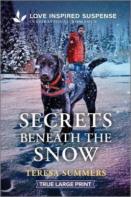 Secrets Beneath the Snow - Teresa Summers - cover
