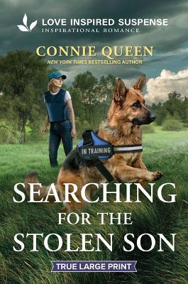 Searching for the Stolen Son - Connie Queen - cover