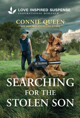 Searching for the Stolen Son - Connie Queen - cover