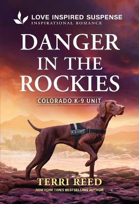 Danger in the Rockies - Terri Reed - cover