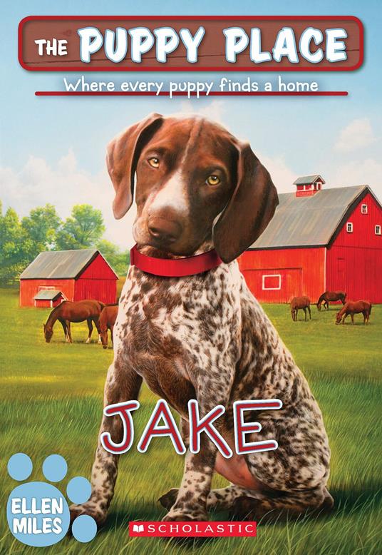 Jake (The Puppy Place #47) - Ellen Miles - ebook