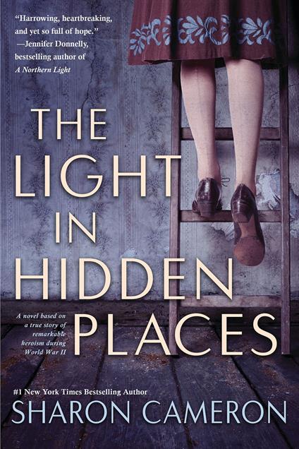 The Light in Hidden Places - Sharon Cameron - ebook