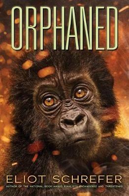 Orphaned (Ape Quartet #4): Volume 4 - Eliot Schrefer - cover