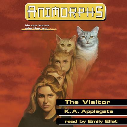 The Visitor