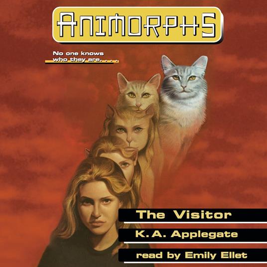 The Visitor