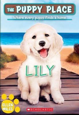 Lily (the Puppy Place #61): Volume 61 - Ellen Miles - cover