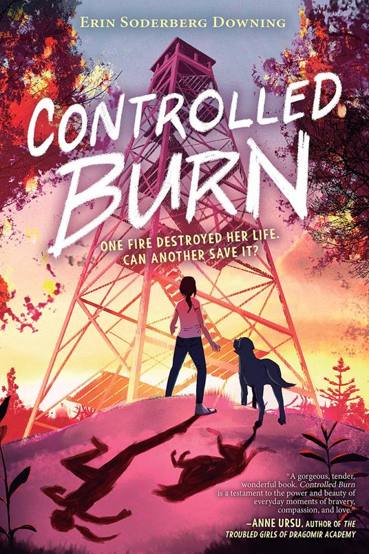 Controlled Burn - Erin Soderberg Downing - ebook