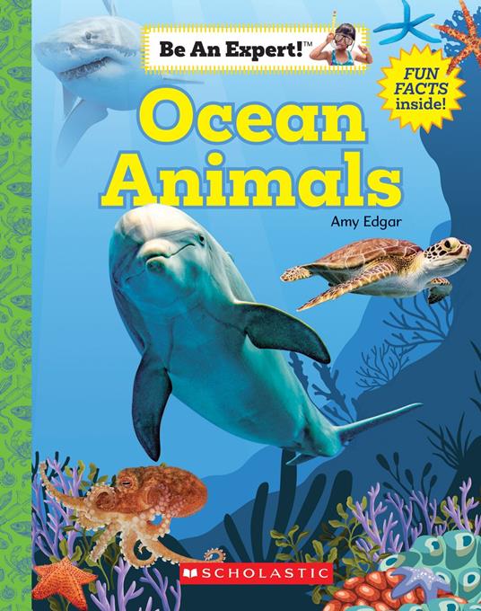 Ocean Animals (Be An Expert!) - Amy Edgar - ebook