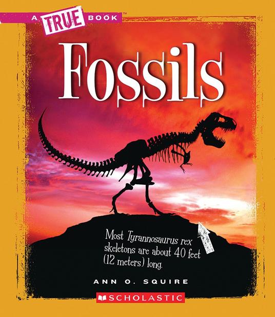 Fossils (A True Book: Earth Science) - Ann O. Squire - ebook
