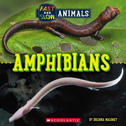 Amphibians (Wild World: Fast and Slow Animals) - Brenna Maloney - ebook