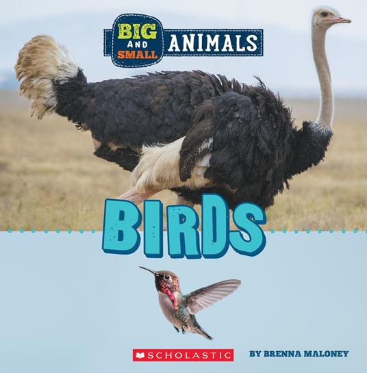 Birds (Wild World: Big and Small Animals) - Brenna Maloney - ebook