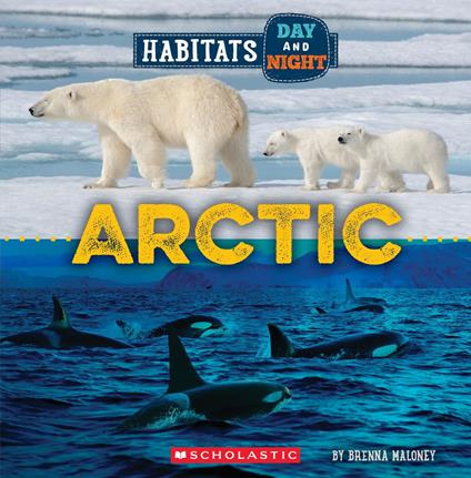 Arctic (Wild World: Habitats Day and Night) - Brenna Maloney - ebook