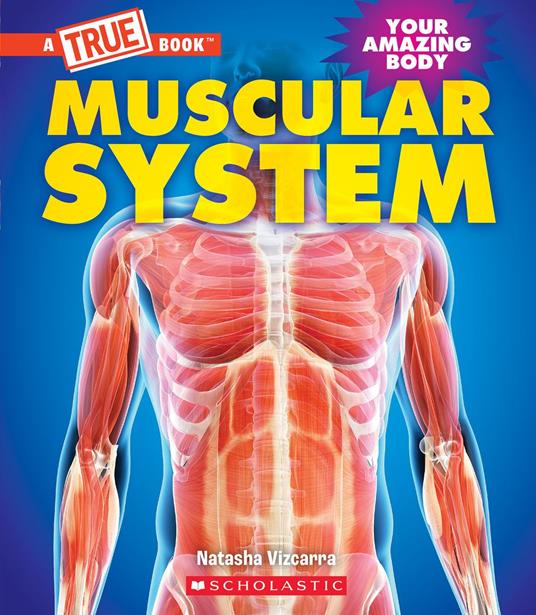 Muscular System (A True Book: Your Amazing Body) - Natasha Vizcarra - ebook