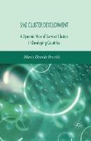SME Cluster Development: A Dynamic View of Survival Clusters in Developing Countries - M. Parrilli - cover