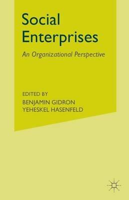 Social Enterprises: An Organizational Perspective - cover