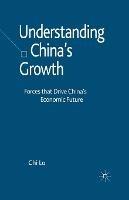 Understanding China's Growth: Forces that Drive China's Economic Future