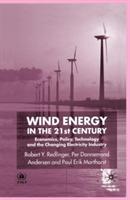 Wind Energy in the 21st Century: Economics, Policy, Technology and the Changing Electricity Industry - R. Redlinger,P. Andersen,P. Morthorst - cover
