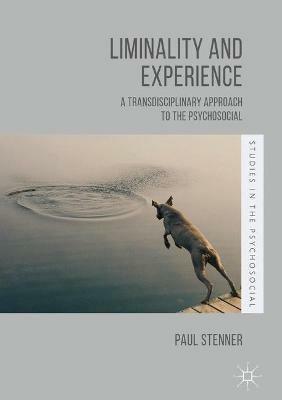 Liminality and Experience: A Transdisciplinary Approach to the Psychosocial - Paul Stenner - cover