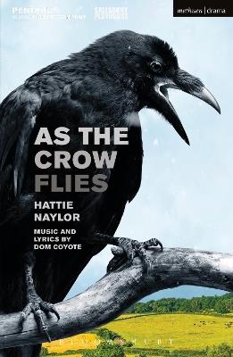As the Crow Flies - Hattie Naylor - cover