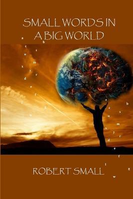 Small Words in A Big World - Robert Small - cover