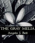 The Gray Meliá