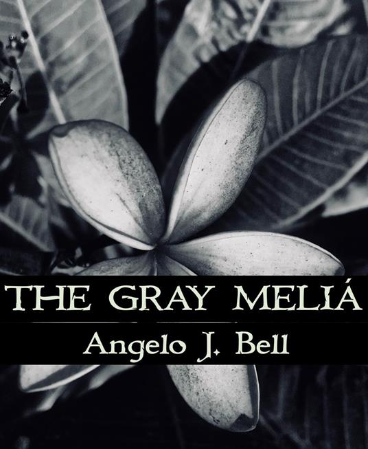 The Gray Meliá