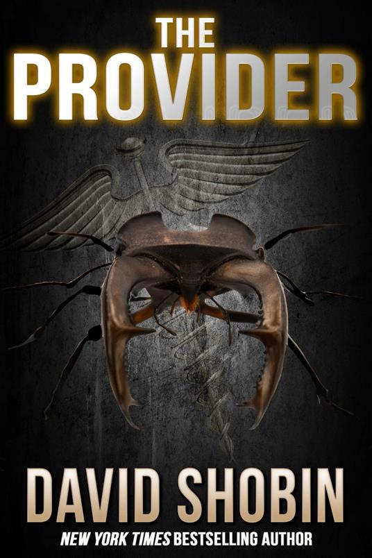 The Provider