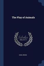 The Play of Animals