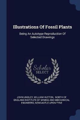 Illustrations of Fossil Plants: Being an Autotype Reproduction of Selected Drawings - John Lindley,William Hutton - cover