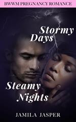 Stormy Days, Steamy Nights: BWWM Romance Novel