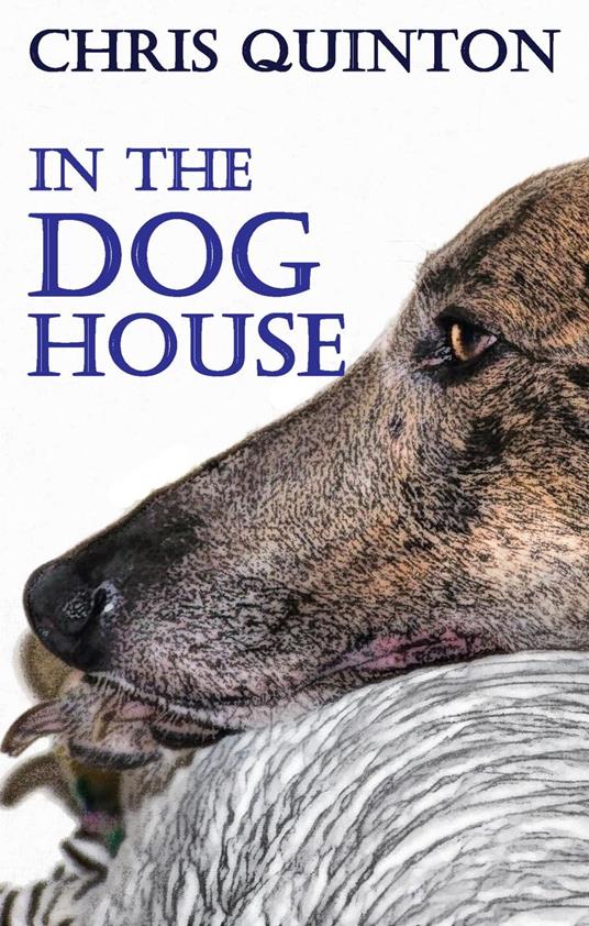 In The Doghouse