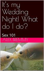 It’s my Wedding Night! What do I do?: Sex 101