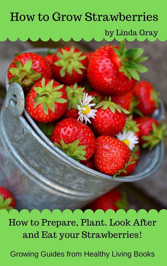 How to Grow Strawberries