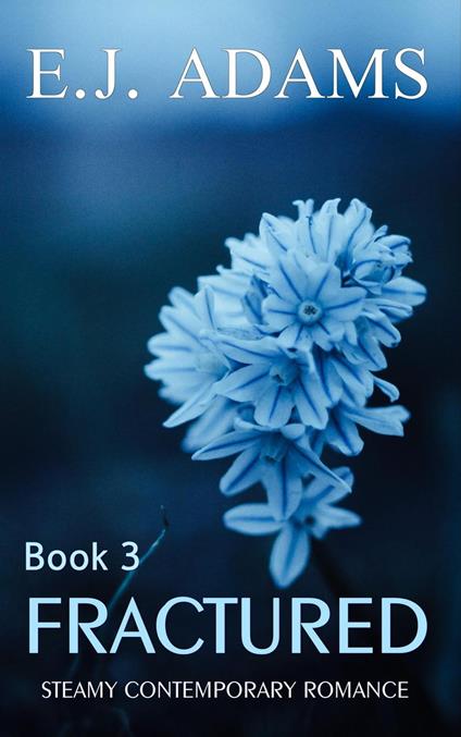 Fractured Book 3