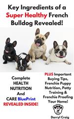 Key Ingredients of a Super Healthy French Bulldog Revealed