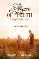 The Romance of Youth Mega Collection