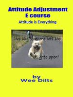 Attitude Adjustment E course