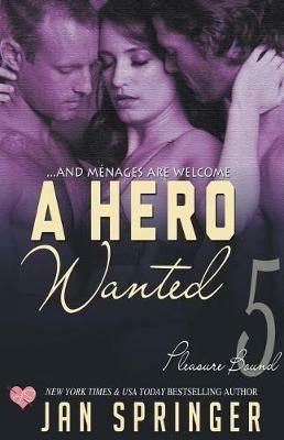 A Hero Wanted - Jan Springer - cover
