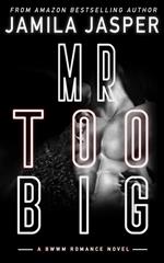 Mr. Too Big: BWWM Hitman Romance Novella