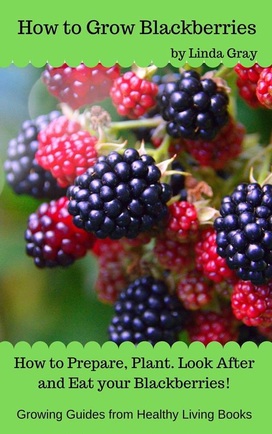 How to Grow Blackberries